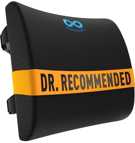 2. Everlasting Comfort Lumbar Support Pillow — Best Ergonomic Fix