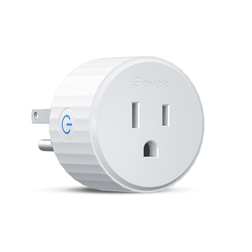 6. Govee Smart Plug — Best Budget Buy