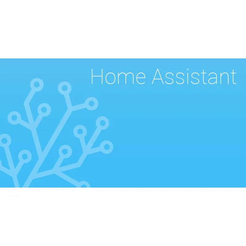 5. Kasa EP25 (4-pack) — Best Budget