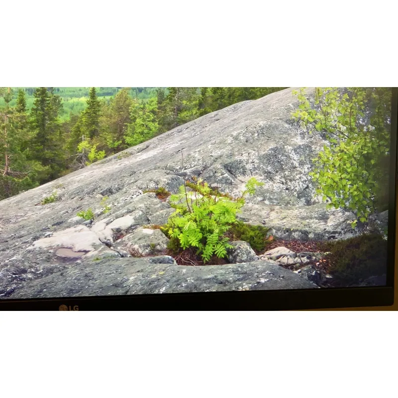 2. LG 27UK850-W — Best 27-Inch for Mac